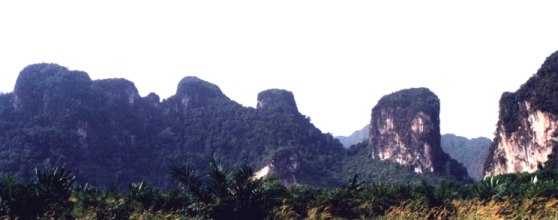 Landschaft in der Provinz Krabi
